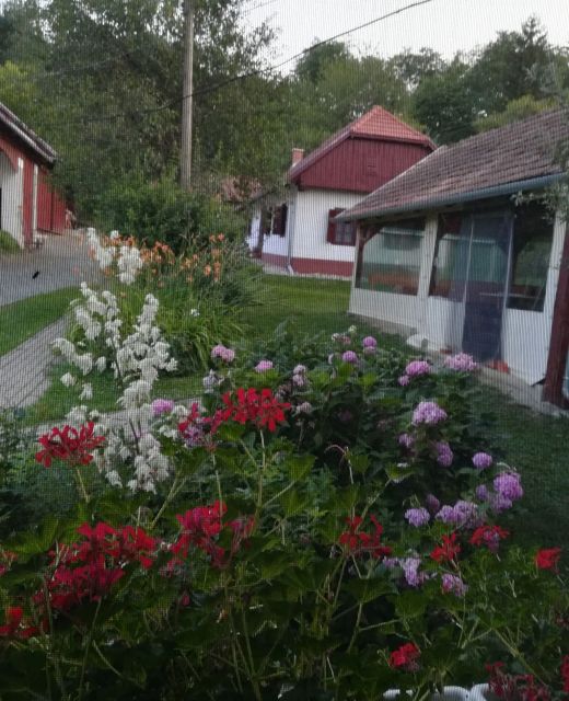 Kisaranyos Vendégház Velemér