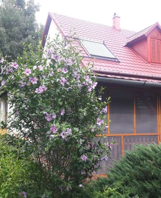 Tiszai Vándor Apartmanház Kisköre
