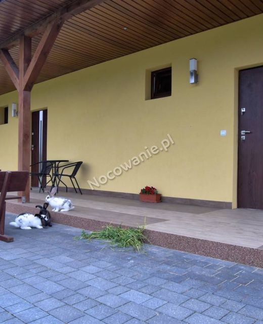 Agroturystyka u Macieja