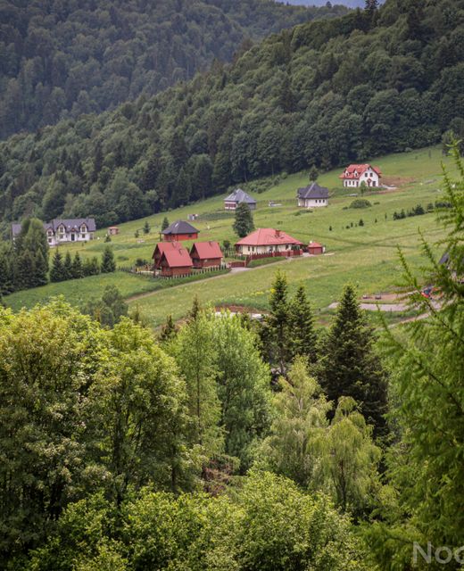 Domki nad Cisną