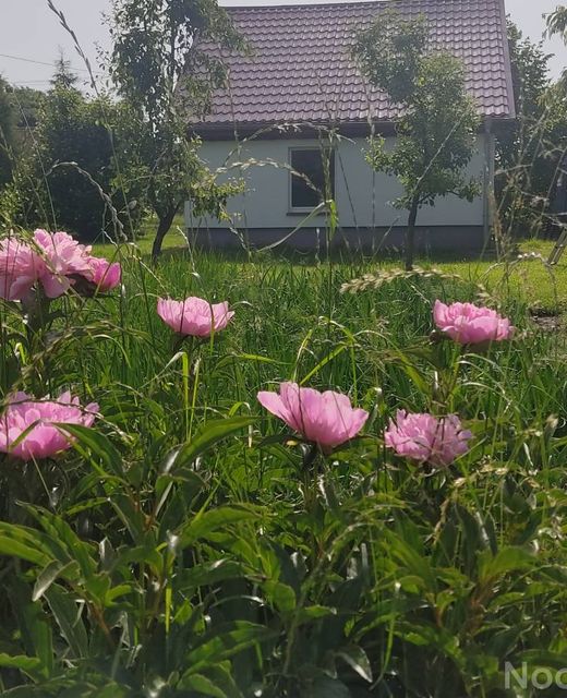 Jaśkowy Domek na Mazurach
