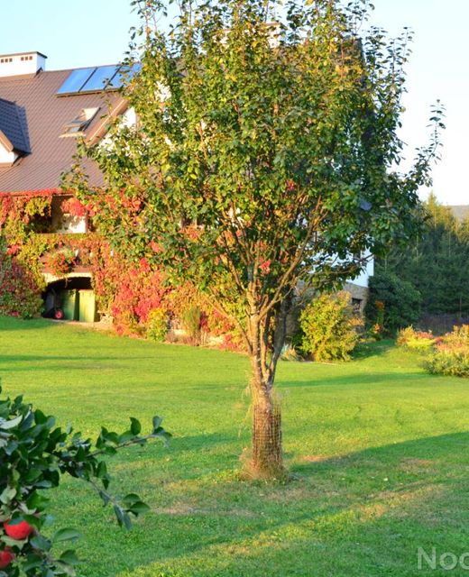 Pokoje i apartamenty Werchowyna
