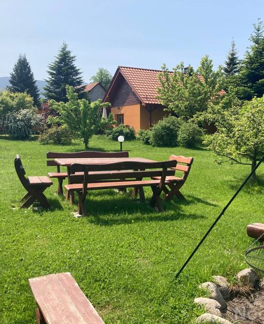 Dziki Sad