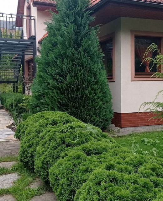 Apartamenty Brzozowe Zacisze 