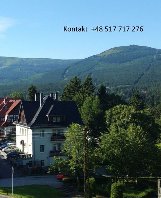 Apartament Alma
