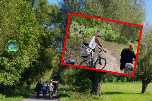 Puszcza Kampinoska to miejsce uczęszczane przez turystów.