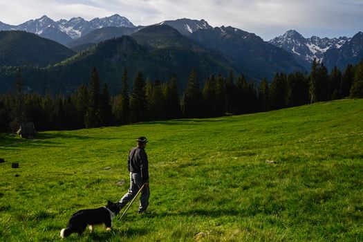 BUKOWINA TATRZANSKA, POLAND - MAY 21: A Polish shepherd walks with his sheep as they graze at the Tatra Mountains National Park in Bukowina Tatrzanska, Poland on May 21, 2024. Cultural grazing is a pastoral economy carried out in national parks, permitted under numerous restrictions. It is also a form of protection of the mountain landscape and a unique way of transmitting and perpetuating pastoral traditions. The best known is cultural grazing carried out in 30 clearings in the Tatra National Park. Shepherding has been added to the UNESCO's Intangible Cultural Heritage list meaning that the native tradition of shepherding and sheep grazing will be cultivated, maintained and, above all, protected. (Photo by Omar Marques/Anadolu via Getty Images)