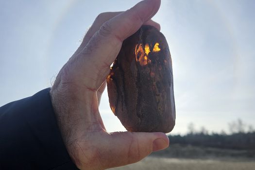 Nie ma piękniejszego widoku dla poławiacza bursztynu niż okaz błyszczący w słońcu