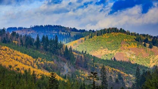 Dom Wczasowy Stalownik Gródek Nad Dunajcem (1)