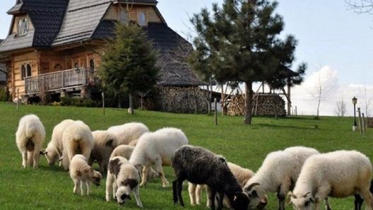 Dom góralski pod owieczkami - Ząb (1)