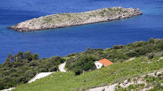 Nyaralóház Parkolóhellyel Dingac - Pristranj, Peljesac - 660 Dingač - Pristranj (1)