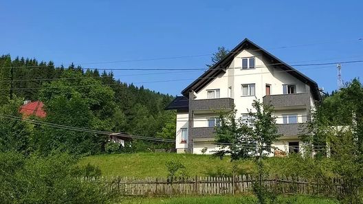 Casa Danci Centru Borșa (1)