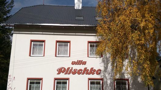 Villa Plischke Lipová-lázně (1)