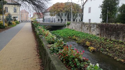 Tulip Family Apartment Eger (1)