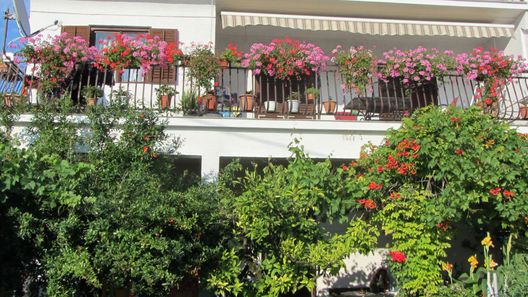 Apartments Grapevines Biograd (1)