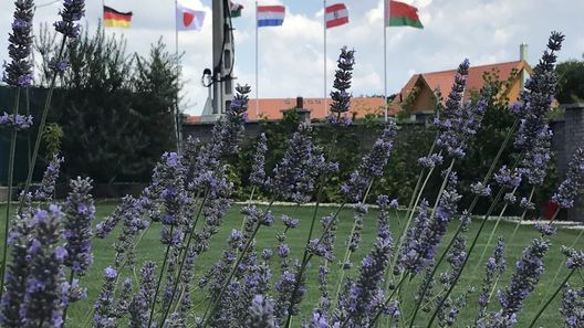 Nyugalom és Titkok Szigete Bagoly Apartman Fertőrákos (1)