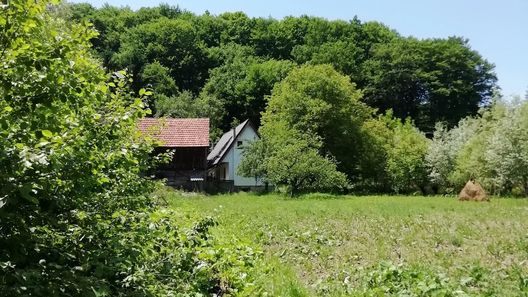 Casa Cristian Valea Dobârlăului (1)