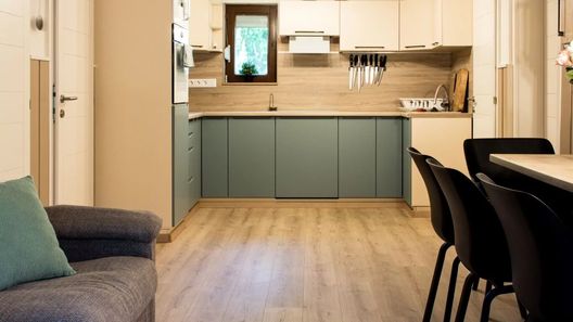 Silver Apartman Berekfürdő (1)