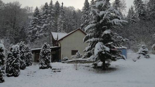 Casa Elena Slănic Moldova (1)