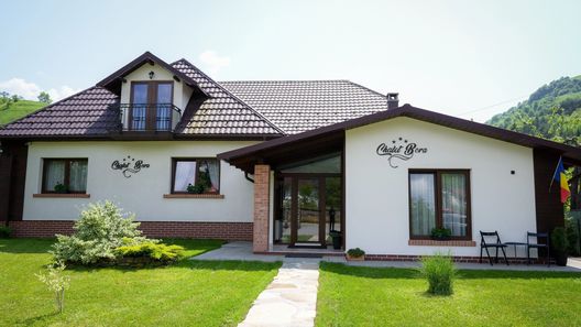 Pensiunea Chalet Bora Vișeu de Jos (1)