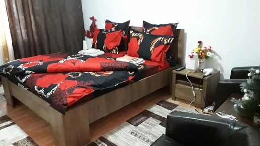 Apartament Irina Vaslui (1)