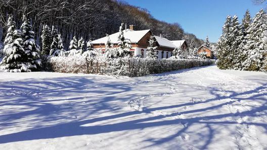 Parva Foresta Apartman Miskolc (1)