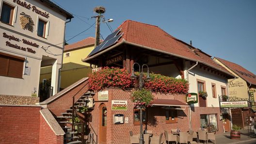 Vaskó Panzió Borpince Tokaj (1)