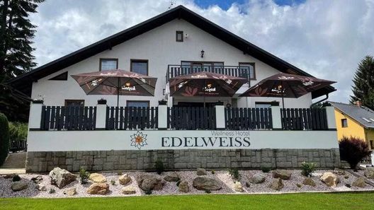 WELLNESS HOTEL EDELWEISS Liberec (1)