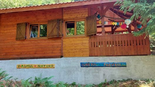 Casa de vacanță Kalmul naturii, iureșul pădurii Firiza (1)