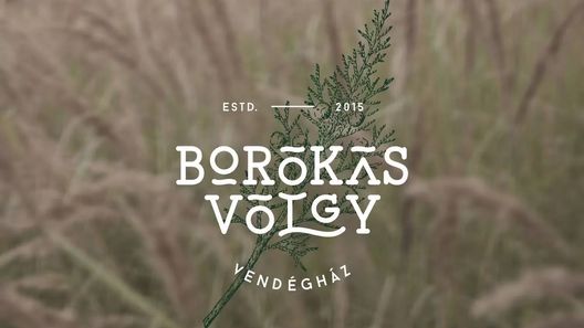 Borókásvölgy Vendégház Mályinka (1)