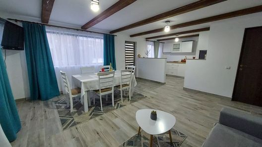 Apartament Radu Cârlibaba (1)