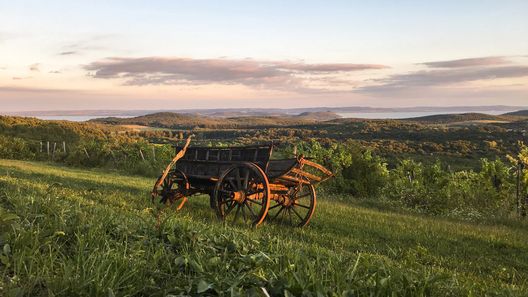 Hantos Pince Vendégház Balatonszőlős (1)