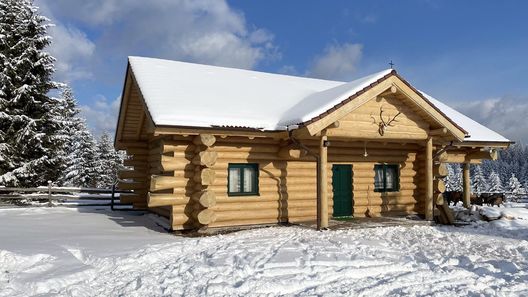 Cabana Szencsedi Erdészlak Lupeni (1)