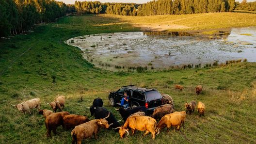 Highland Warmia Gospodarstwo Agroturystyczne Jeziorany (1)