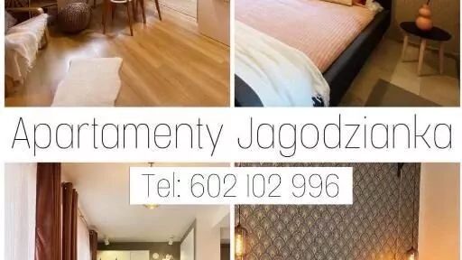 Apartament Jagodzianka Ustrzyki Dolne (1)