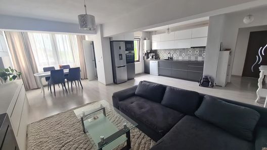 Spacious & Modern Apartment Târgu Mureș (1)