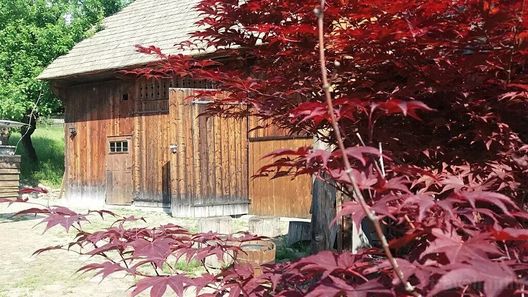 Pintea Cottage & Barn Accommodation - Bucovina Mănăstirea Humorului (1)