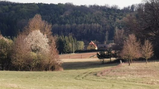 Lugosvölgyi Vendégház Kondorfa (1)