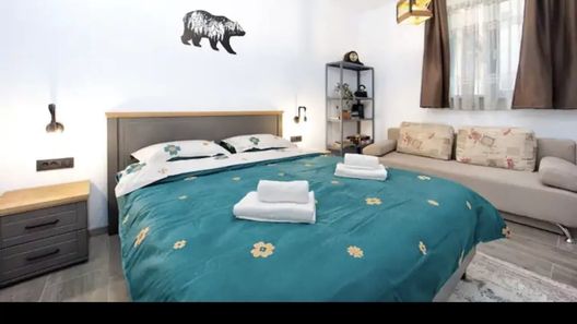 Apartament The Bear’s Den Brașov (1)