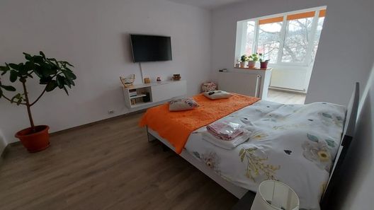 Apartament Spațios in Brașov (1)