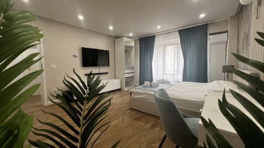 Apartament Urban Chic Timișoara (1)