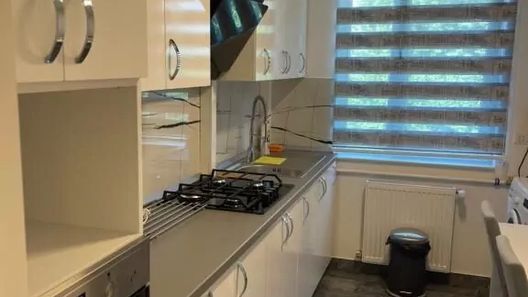 Apartament Încântător Roman  (1)