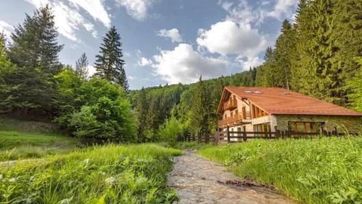 Chalet Chiba Timișu de Jos (1)