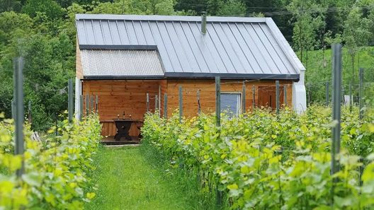 Agroturystyka i Winnica Granice Zgłobień, Rzeszów (1)