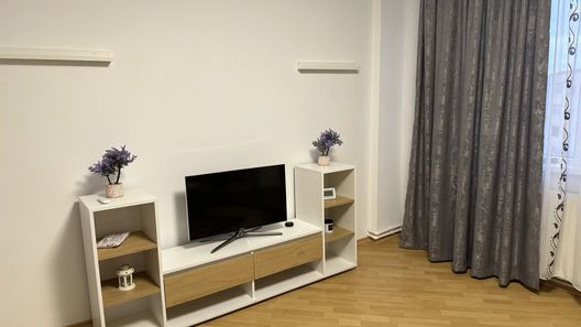 Apartament Amalia Roman (1)