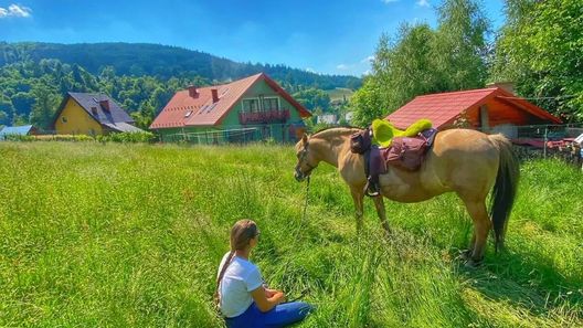 Pokoje Gościnne Zielony Domek Brenna (1)