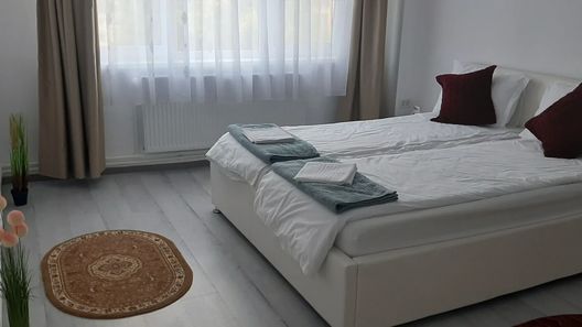 Apartament Modern Claudia Brad (1)