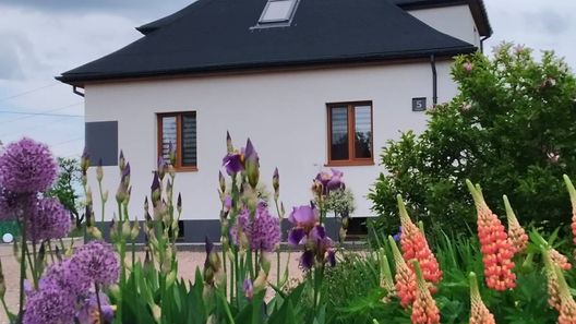 Pokoje gościnne - Domek u Mai Zator (1)