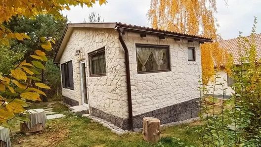 Forest Hide Tiny House Covasna  (1)