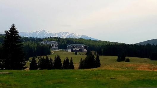 Mountain Relax Apartment Poiana Brașov (1)